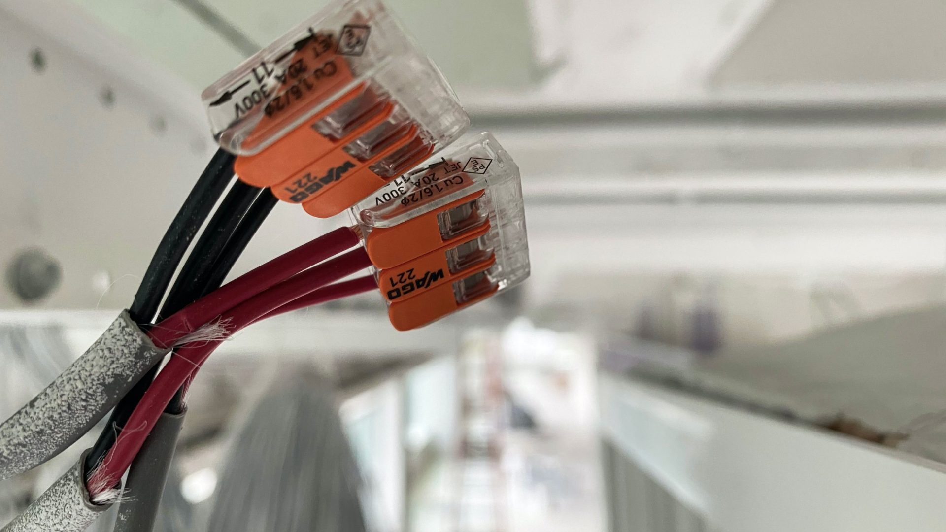 pexels-calvin-mcwilliams-7286937